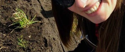 Pierwszy ogród deszczowy wykonany w gruncie na terenie Mikołowa - sadzenie
