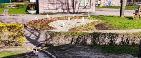 Pierwszy gród deszczowy w Mikołowie: PO